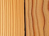 Unterschied zwischen Fichten- und Kiefernholz