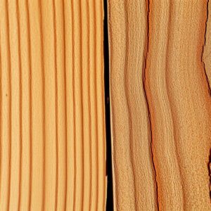 Unterschied zwischen Fichten- und Kiefernholz